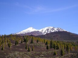 Parque Nacional del Teide